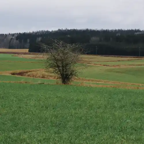 Real Estate Project 3