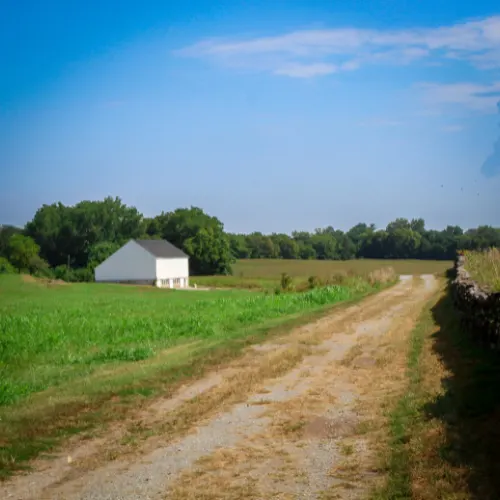 Real Estate Project 3